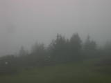 07 : 39