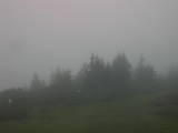 07 : 49