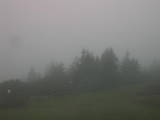 08 : 41