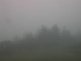 09 : 03