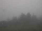 09 : 05