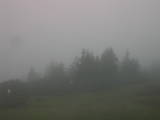 09 : 19