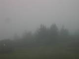 09 : 25