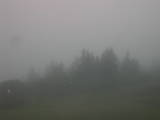 09 : 29