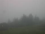 09 : 33