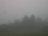 09 : 55
