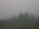10 : 25