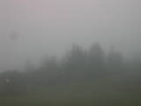 11 : 25