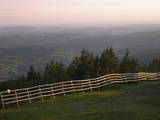 20 : 29