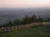 20 : 35