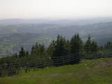 15 : 53