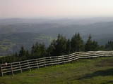 19 : 17
