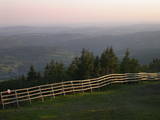 20 : 35