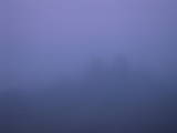 04 : 29
