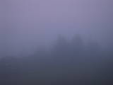 04 : 33