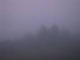 04 : 37