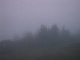 04 : 49