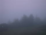05 : 01