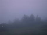 05 : 05