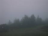05 : 29