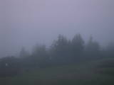 05 : 41