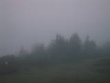 05 : 49