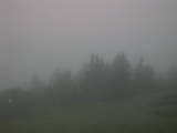 06 : 31