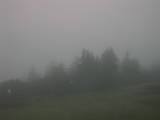 06 : 33