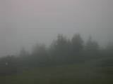 06 : 39