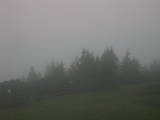 07 : 03