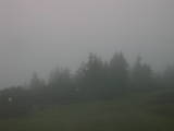 07 : 05