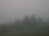 07 : 17