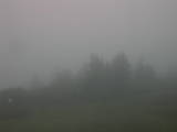 07 : 19