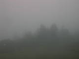 07 : 29