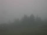 07 : 37