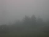 07 : 41