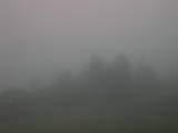 07 : 49