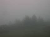 08 : 01