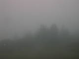08 : 03