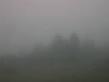 08 : 05