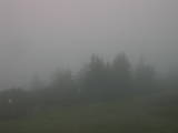 08 : 09