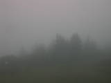 08 : 15