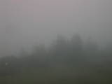 08 : 17