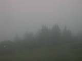08 : 19