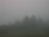 08 : 21