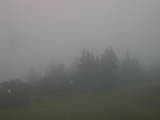 08 : 29