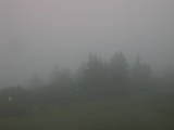 08 : 35