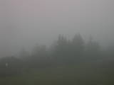 08 : 43