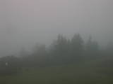 08 : 49