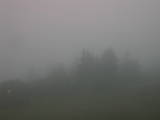 08 : 53